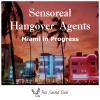 Sensoreal、Hangover Agents《Miami in Progress (Holiday Edit)》[MP3/LRC]