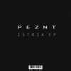 Peznt - Trapan Teran (Original Mix)