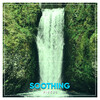 Yoga Music Reflections、Yoga Music Experience、Yoga Music Swami - Botanical Garden Stream