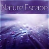 Peaceful Piano Music Collection - Nature Escape