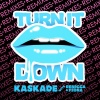 Kaskade、Rebecca & Fiona - Turn It Down (Mind Electric Main Mix)