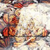 Michele Garavini - Brain Matter