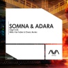 Somna、Adara《Signals (Mike Van Fabio & Cherry Remix)》[MP3/LRC]