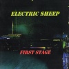 Electric Sheep《Lady Of The Night》[MP3/LRC]