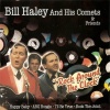 bill haley & his comets《Happy Baby》[MP3/LRC]