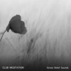 Meditation Music Club、Meditation and Stress Relief Therapy、Sleep Meditation Dream Catcher - Chakra Voices