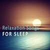Bedtime Sleep Music Academy - I. Allegretto