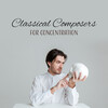 Konzentration Musikexperten - I. Allegro moderato