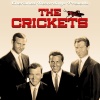 The Crickets - Fools Paradise