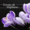 Ludovico Allevia - Terme di Stigliano