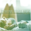 Anti Stress Music Zone - Reducing Stress Music