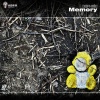 Daphnia - Memory