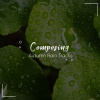 Nature Soundscape、Natural Nature Makers、Organic Nature Sounds - Loopable Rain Shower for Sleep