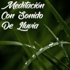 Sonidos Naturales Relax、Sonidos de la naturaleza Relajacion、Sonidos de la Naturaleza Relax - Cielos Que Se Abren