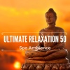 Reiki Warmth - Ultimate Relaxation 50