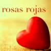 Christian Grey - Roses