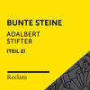 Adalbert Stifter、Reclam Hörbücher、Heiko Ruprecht - Bunte Steine (6. Bergkristall, Teil 01)