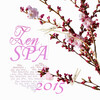 Wellbeing Zone - Zen Spa 2015, Wellness