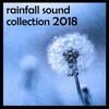 Rain Sounds & Nature Sounds, Heavy Rain Sounds, Rain, Thunder and Lightening Storm Sounds - Raining