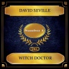 david seville《Witch Doctor》[MP3/LRC]