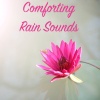 Rain Sounds、Nature Sounds Nature Music《Rolling Rain》[MP3/LRC]