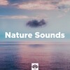 Inside Trace、Sounds Of Nature : Thunderstorm, Rain - New Age Relaxation