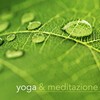 Yoga Trainer - Yoga e Meditazione - Flauto e Campane Tibetane