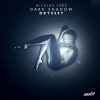 Nicolas Cuer - Dso I