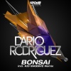 Dario Rodriguez - Bonsai (Original Mix)
