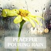 Rain Sounds & Nature Sounds, Heavy Rain Sounds, Rain, Thunder and Lightening Storm Sounds - 5 Minute Thunderstorm