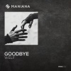 WelF - Goodbye
