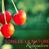 Oasis de Détente et Relaxation - Nature, détente et découverte