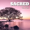 Tai Chi Music Institute、Tai Chi《Sacred Tai Chi》[MP3/LRC]