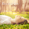 Meister der Schlaflieder - Sleep Lullaby