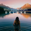 Evan Tierisch、Music for Deep Relaxation Meditation Academy - Wellnesszentrum Deluxe