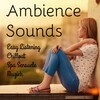 Bar Lounge - Ambience Sounds