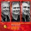 Orchestra Di Padova E Del Veneto、Luca Lucchetta、Zsolt Hamar - I. Allegro