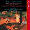 Polish Radio National Symphony Orchestra、Andrzej Straszyński、Vadim Brodsky - I. Allegro non troppo