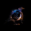 Silver Ivanov、Elaine - Next Time (Original Mix)