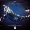 Denine、De9 - Song of Whales