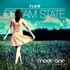 FLUID - Dream State
