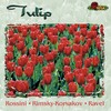 Djansug Kakhidze、Tbilisi Symphony Orchestra - Swan Lake, Op. 20 Act I, No.8 Danse des coupes (Dance with the cups): Tempo di polacca