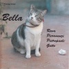 Roberto Gatto、Enzo Pietropaoli、Enrico Rava、Enrico Pieranunzi - Bella