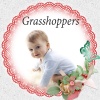 Soothing Baby Music Zone《Grasshoppers (Deep Sleep)》[MP3/LRC]