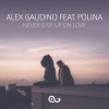 Alex Gaudino、Polina - Never Give Up on Love