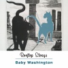 Baby Washington - The Ballad Of Bobby Dawn