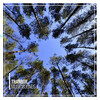 Yoga Music Reflections、Yoga Music Experience、Yoga Music Swami - Serene Sleep with Delta Waves