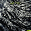 Lanvary - Verboom