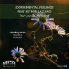 Experimental Feelings、Esther Lazaro - Your Love Is Not Sincere