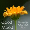 Spa Music Therapy - Good Mood